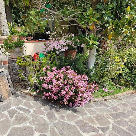 Ferienwohnung Il Diacciarello Gabbro Exterior foto