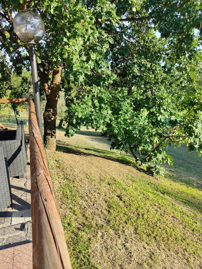 Ferienwohnung Il Diacciarello Gabbro Exterior foto