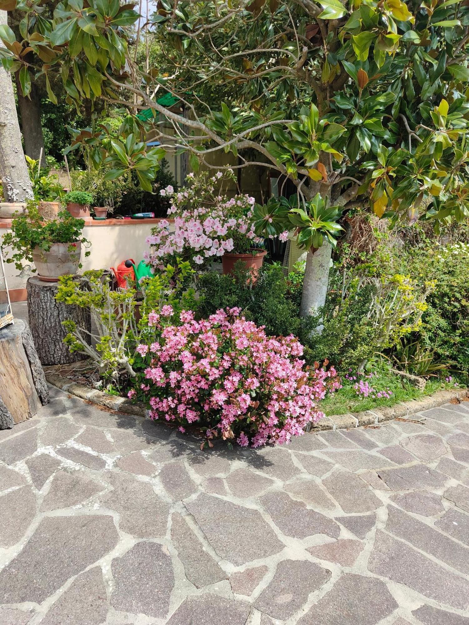 Ferienwohnung Il Diacciarello Gabbro Exterior foto