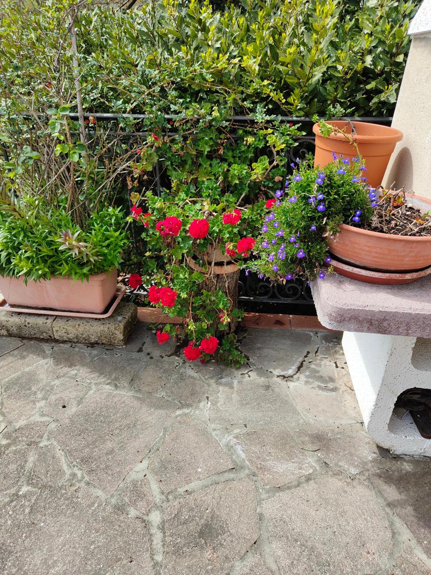 Ferienwohnung Il Diacciarello Gabbro Exterior foto